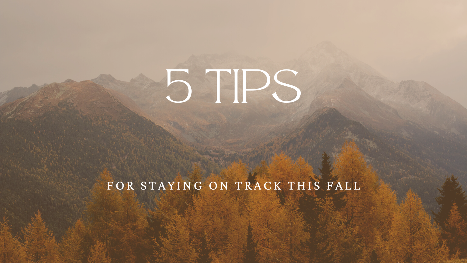 5 Tips For Staying on Track This Fall